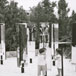 momo_BodaRamonYJose01